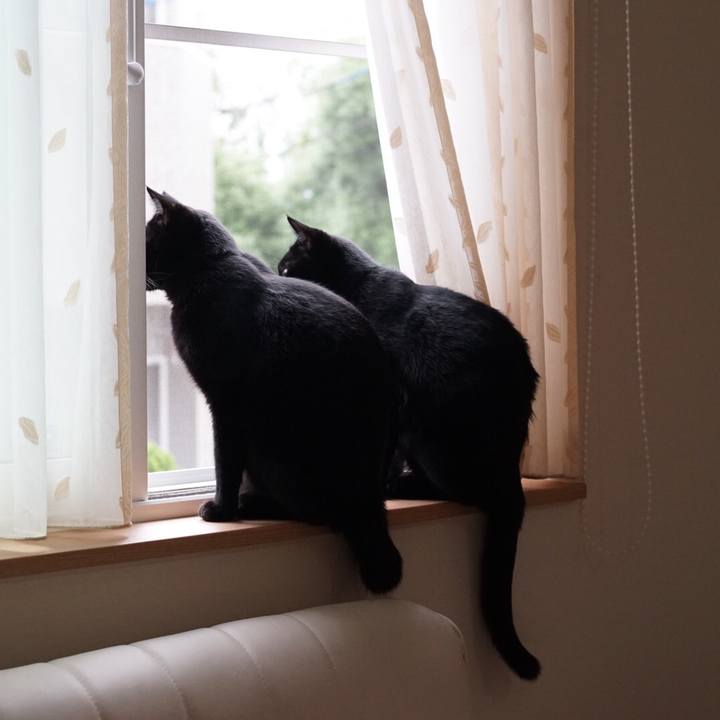 860e0889 2e39 4495 bfce 365078a34594 1527637318845