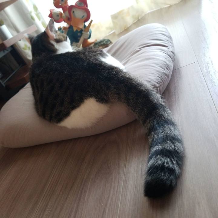 860e0a19 51c6 4a33 93c2 2ffc4f994675 1590351750733