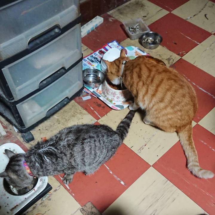 860e1e19 4ff5 45b7 bccd 839b439cbb29 1595533929045