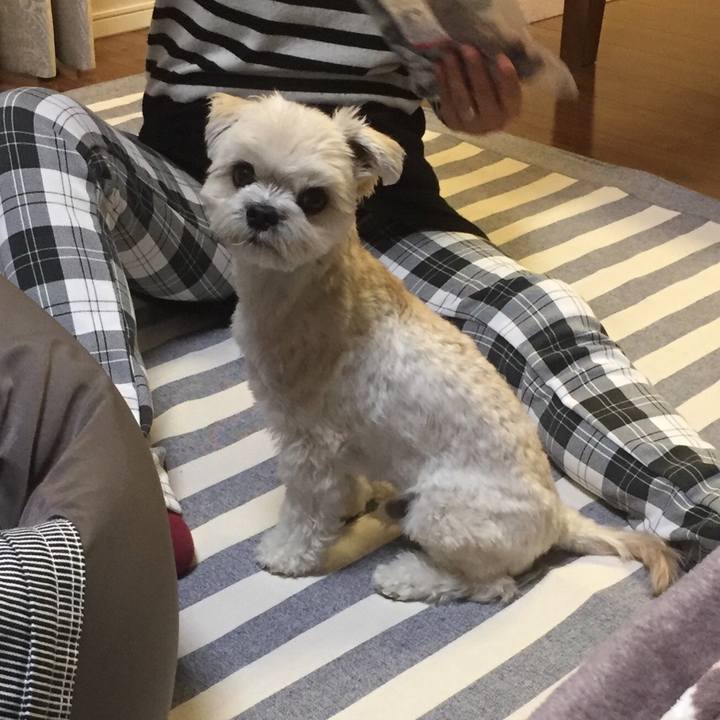 860e6c1a 56ad 4669 b1a3 0d9ffab4de29 1512128722420