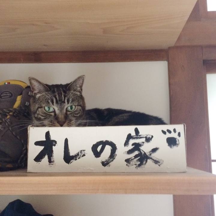 860e8488 2d4c 43d5 b2b7 813a7ad4cbab 1535758590875