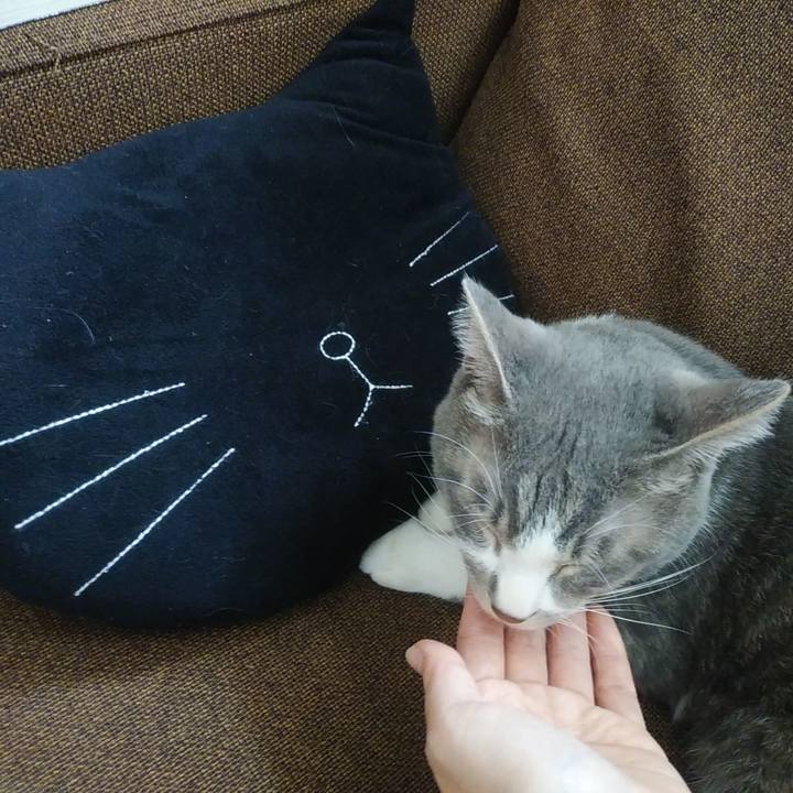 860e96cc cbf7 43a9 8835 56b25dd9fb84 1589506739748