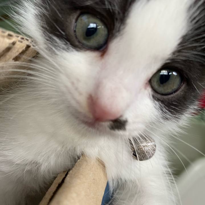 860ea48d ed83 41a2 983d 08a7b1443c8c 1652055071225