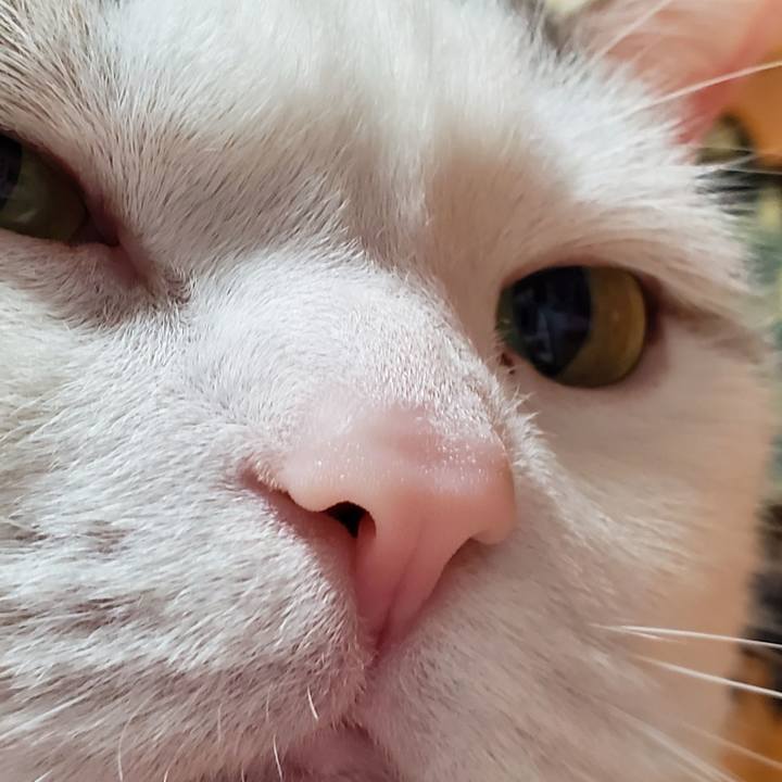 860f13f1 7d40 4dcc b4e5 9e4611921073 1561760606778