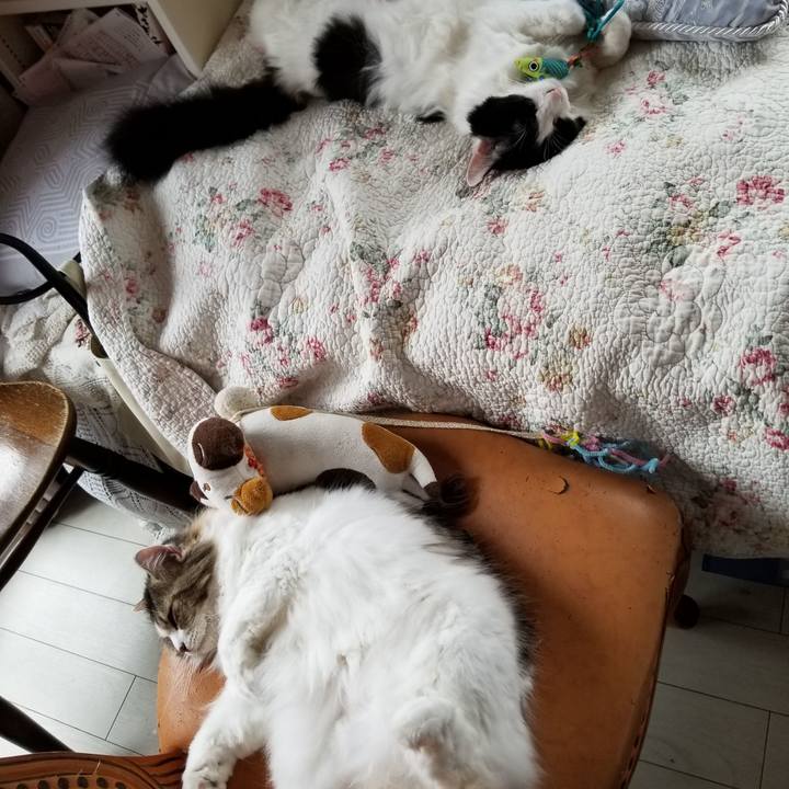 860f31b4 ca11 46e6 8932 0aa35c324631 1538343081728