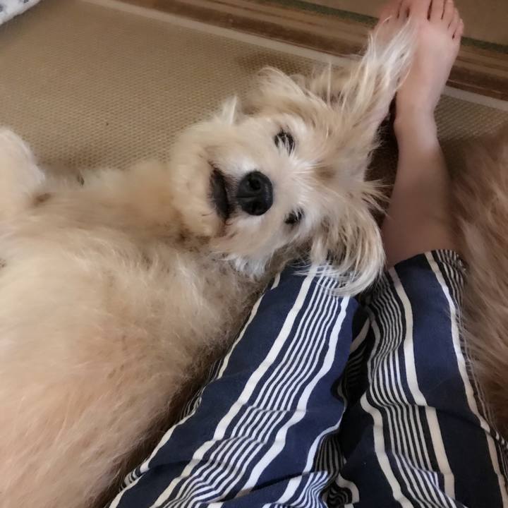 860f5457 c091 4a25 b16b 5752443e6a47 1569936161076