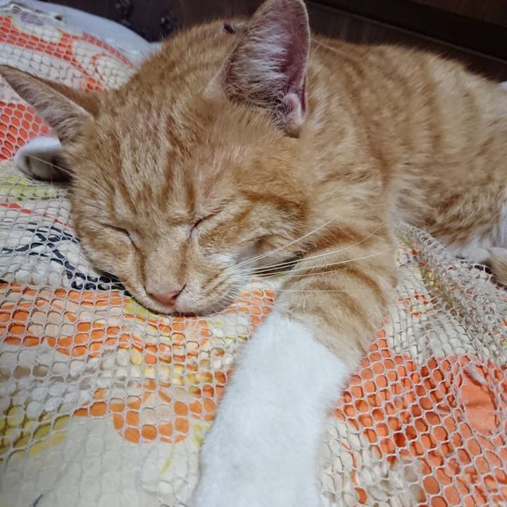 860f65e9 dd1f 4aa5 bcca 7815f445be50 1568381184547