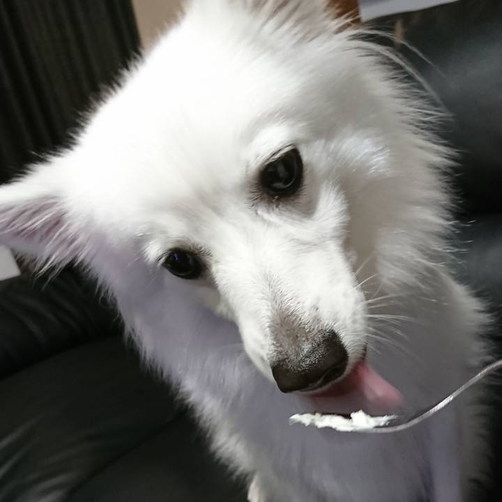 860fbf1b 7790 46f4 b0ef 9a7f3e73af60 1535635679598