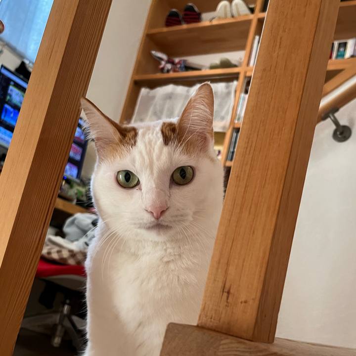 860fdba4 cdfb 460b 92a0 51057e3274bc 1763305713679