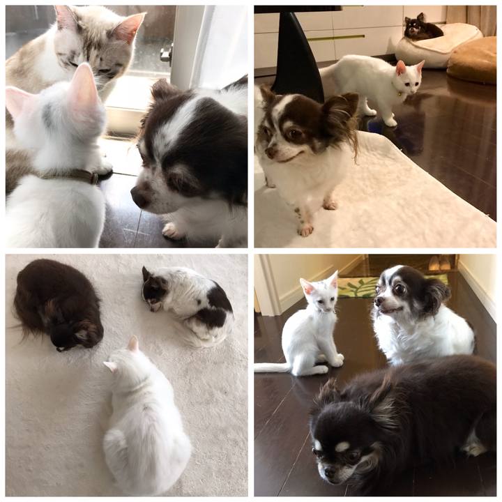 860fddf8 3ce1 4850 ae17 d2d7d074c035 1585828292198