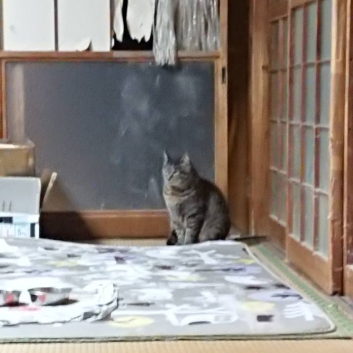 86102ebb ceb0 4e5c ab63 90afa0e280f1 1620742807570