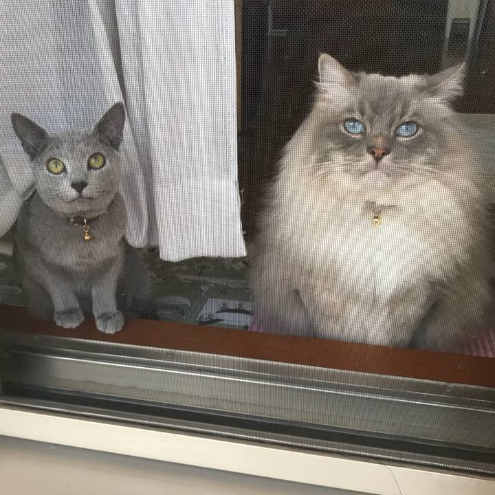 8610b54a 3a51 4aae a4fe c5dda11a762d 1523008742627