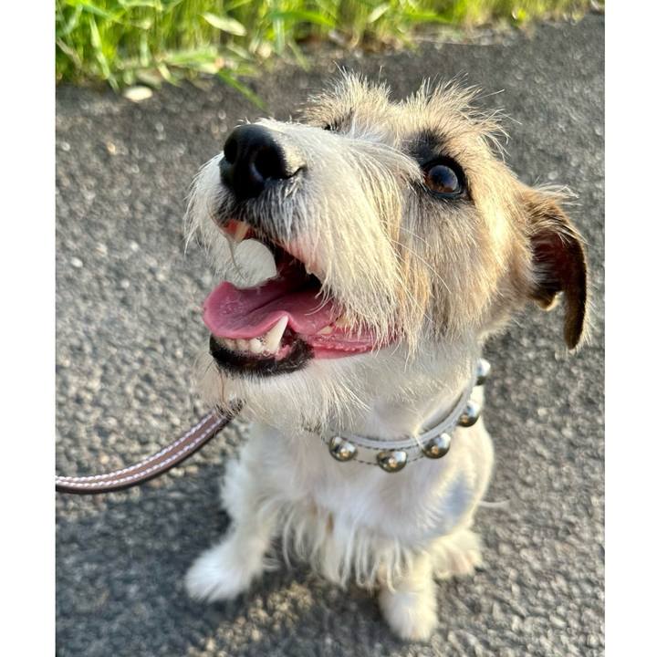 8610d938 7476 4460 a812 6ff04ff43915 1716048770680