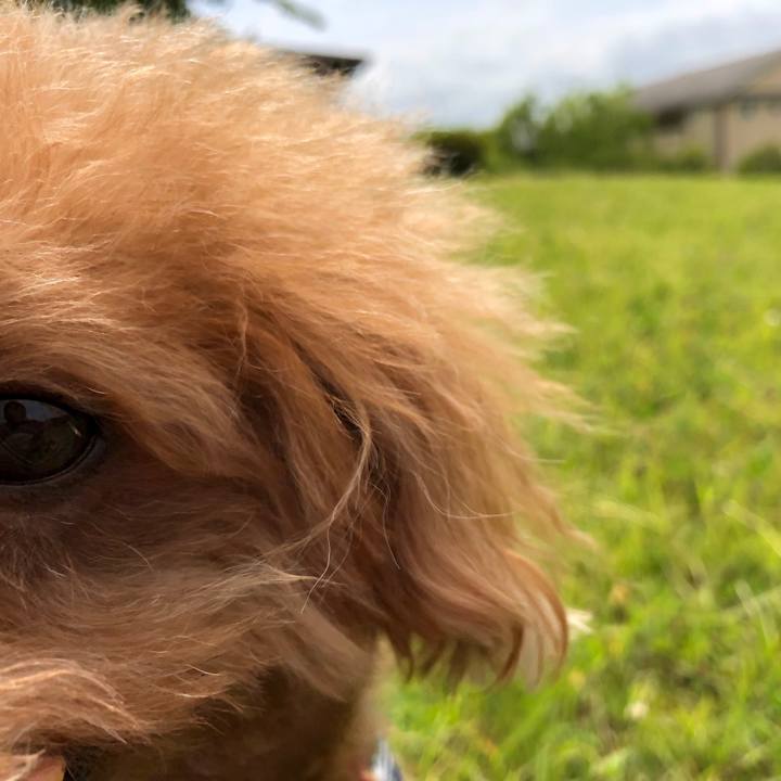 8610e70a d31f 4719 9519 5914d121dc46 1561848244042