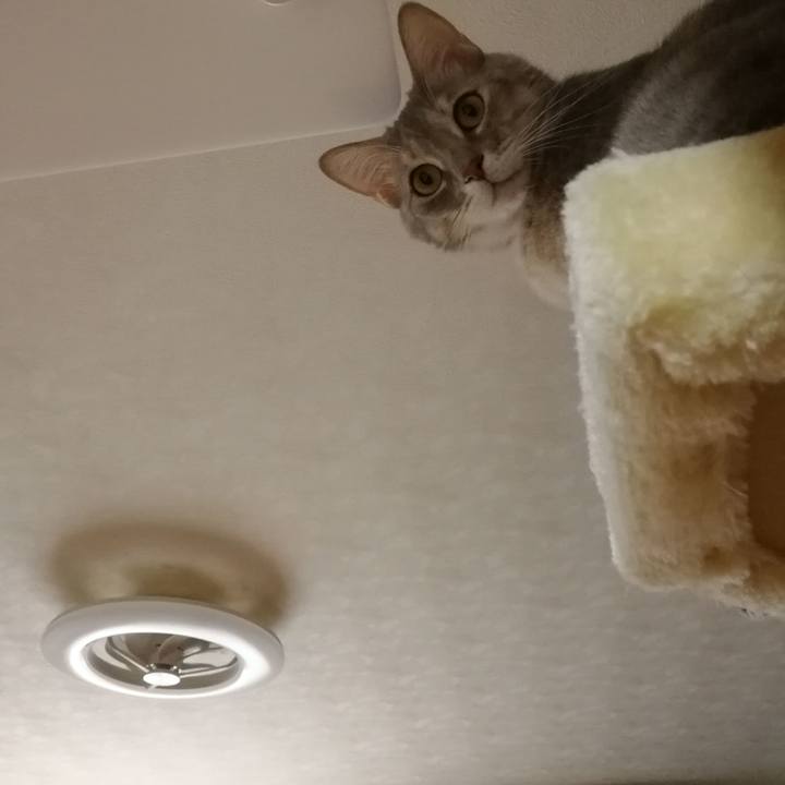 86111cbb 730e 4d0b a29c b4b73a7a8dc3 1547949517744