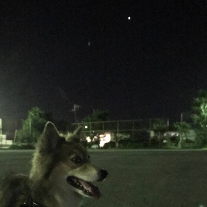 86112eb3 9f76 4f32 be89 8f70b7ebcb85 1533041508489