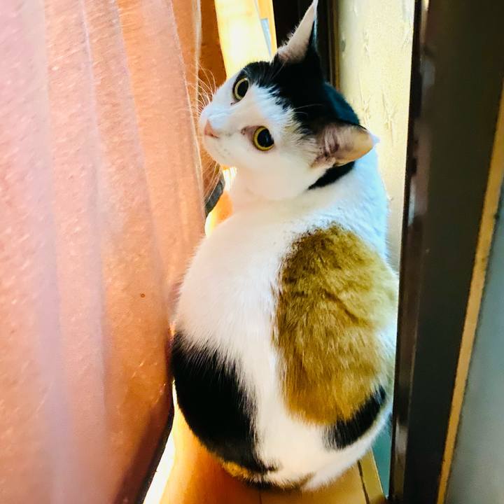 86114114 47d3 46b6 a66f 446ccb18cedd 1665060206315