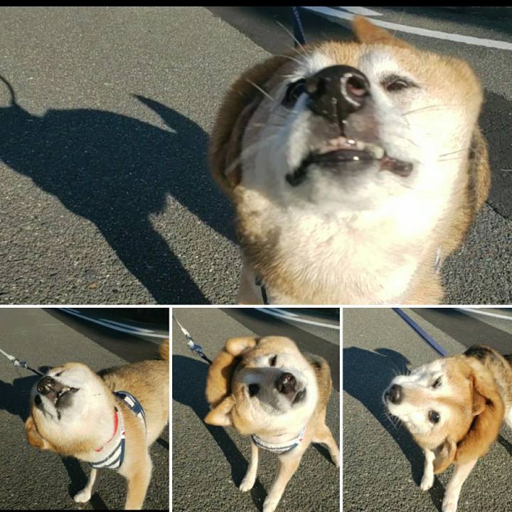 861151cf 5271 47f6 8c28 bfc6d95bc51a 1654818050708