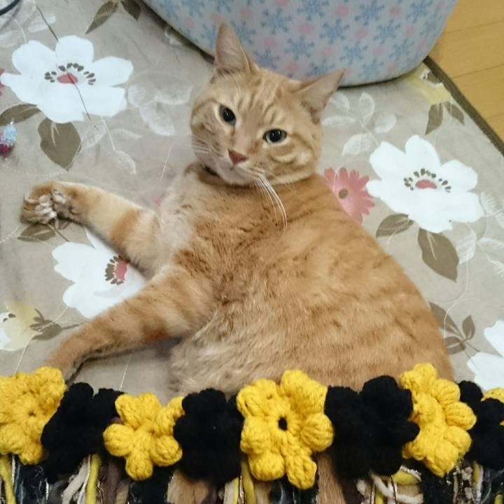 8611cd80 d212 439f b691 4cff97df19cf 1540280189889