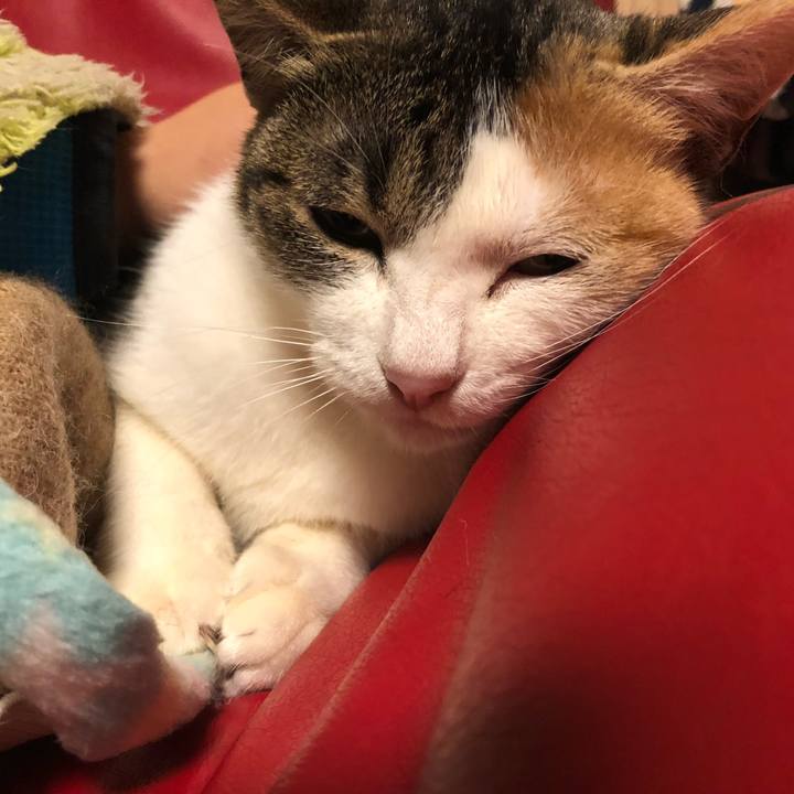 8611d5c3 7b41 4411 9d6b 1d47174b9f3b 1576318759452