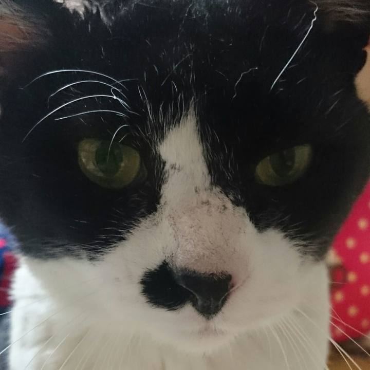 8611e007 de9a 4ebb 9645 e254e923de04 1518220396492