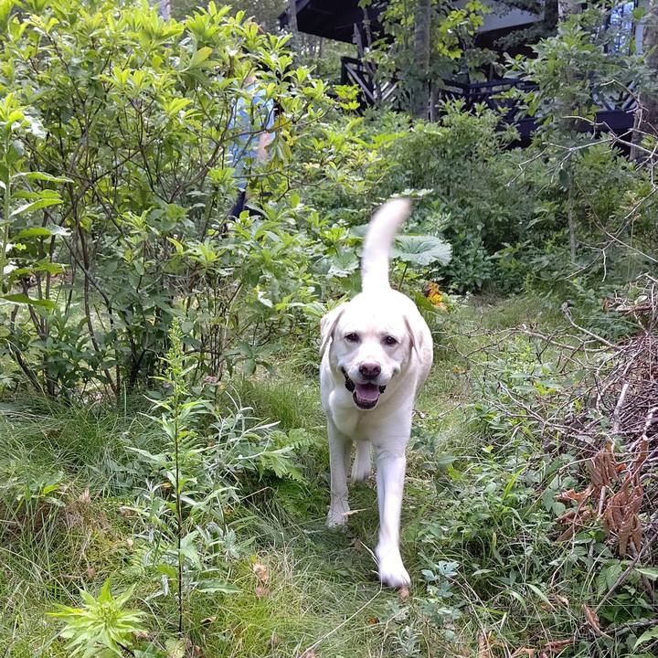 8611e899 e4be 46b3 84a0 c4117c7ed49e 1628572734197