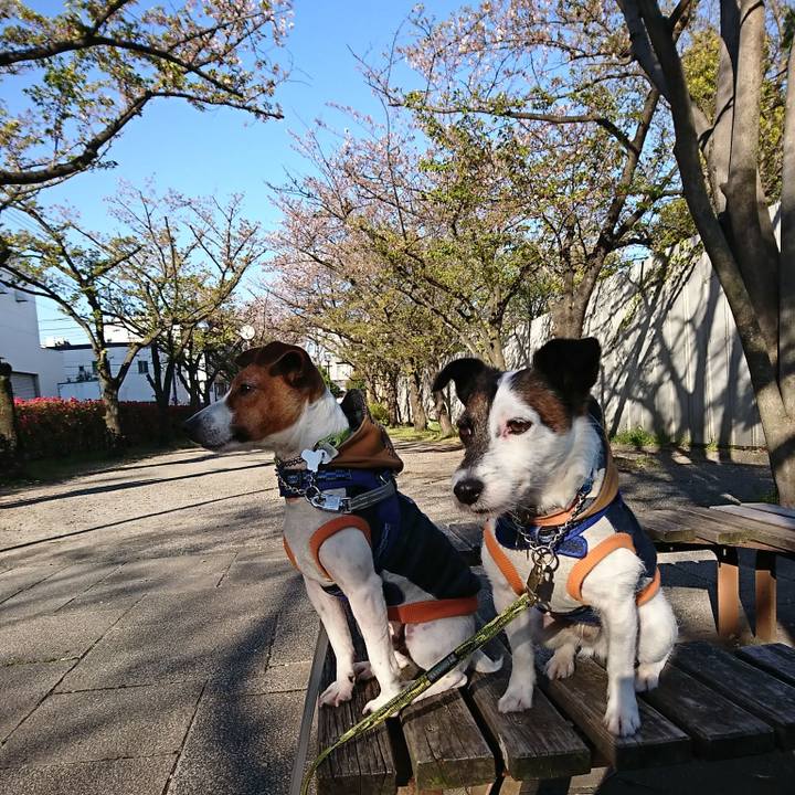 8611f0bd 11a3 4913 af30 a6bc25999202 1555108840987