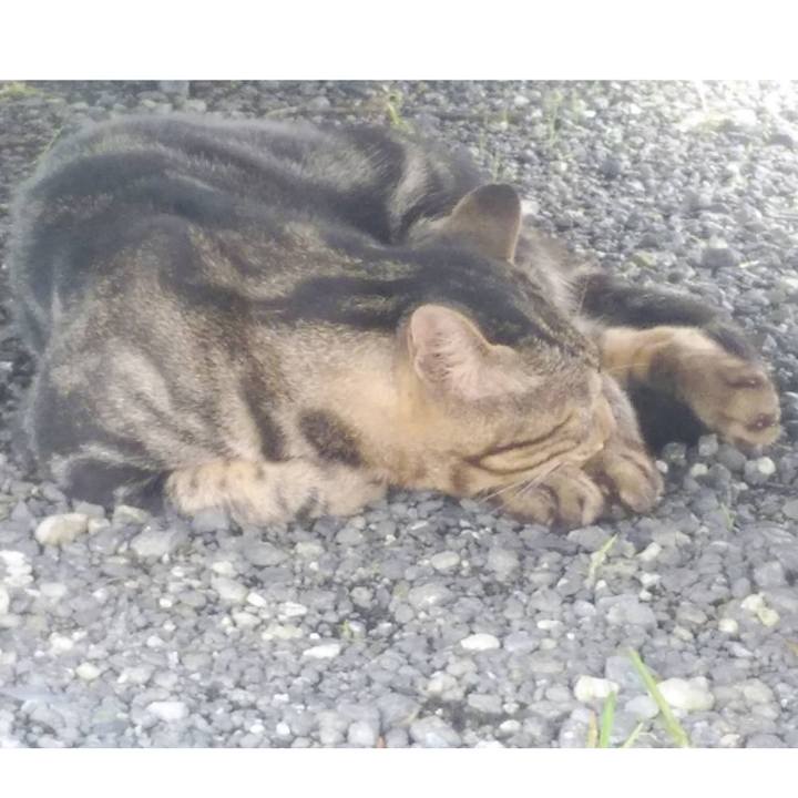 8611fc83 1c7d 4383 8116 9119b433f908 1596168854176