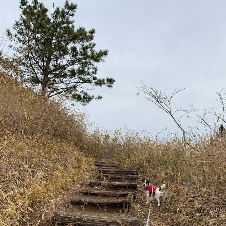 8611fd95 98a3 4219 9397 433997671efd 1581749628856