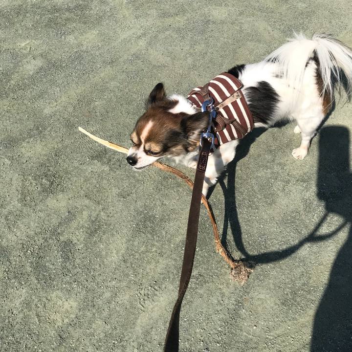 86121eb1 92d0 4d93 ae8f 6e10bd6a992d 1518664513212