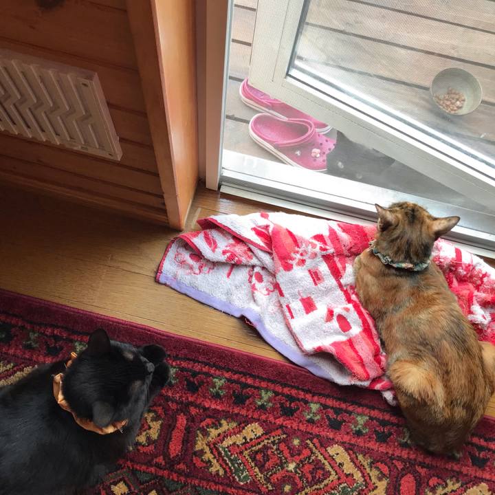 861236d0 2f72 4d02 bdb5 46cc45fc46f8 1631313829533