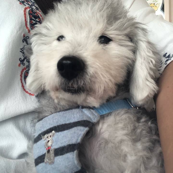 8612c7dc 7651 4fa2 861c 5fcf4511ce06 1601692416414