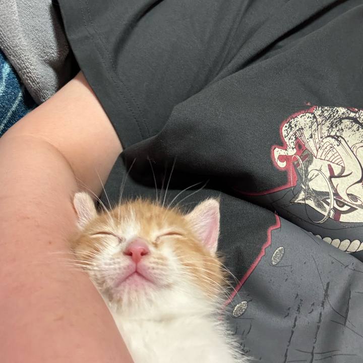 8612d06e 381b 4959 9340 264dc677e549 1747888616070