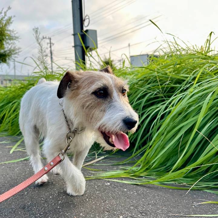 8612d77b ba47 4dd2 9bdb beaa919a49d6 1724571062335