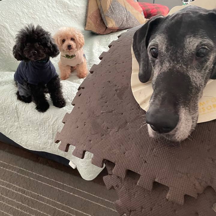 861352c5 ef23 4430 b07c 15c18752ed44 1635374236151