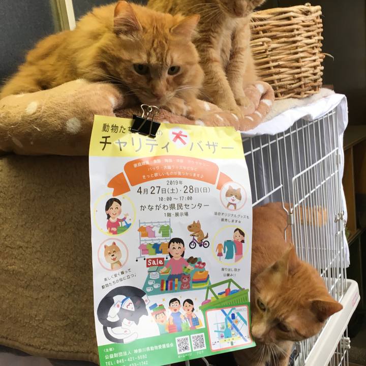 861364ed 6cfb 4214 a2f0 51d44d50619b 1556422373055