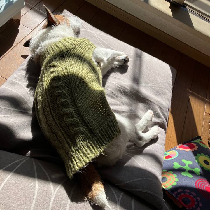 86138738 599e 4fef 918b 643ca27ee7b7 1707866098310