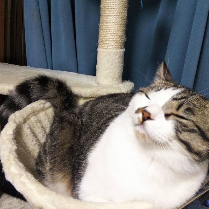 8613bf6b 8ca1 46cf 9d38 35d9d7bb23ef 1652015052080