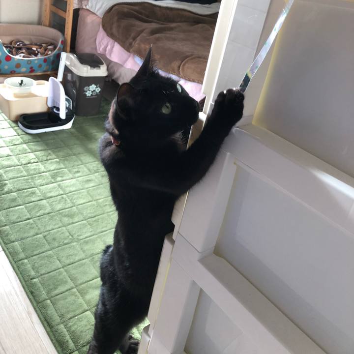 8613cf04 a0b8 46f6 bfd0 ce0d1ac50466 1525837552133