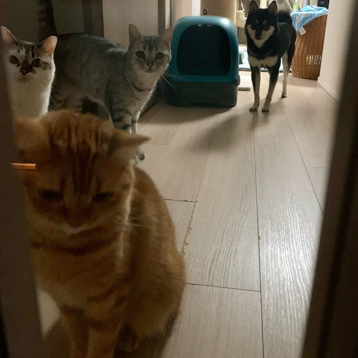 86140dd0 05e6 4eb6 8d14 f4078ea7d9f2 1630242345800