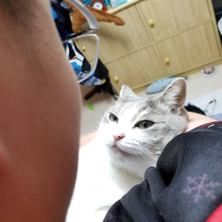 861410ec 0a52 44aa aff3 6fcb923bb476 1630389089408