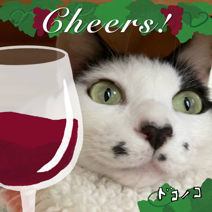 861424f5 90a7 4dc9 b03e 0953496315f5 1761178313694