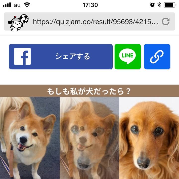 86146889 f8b4 4445 94e5 ce01711a4de0 1528965190934