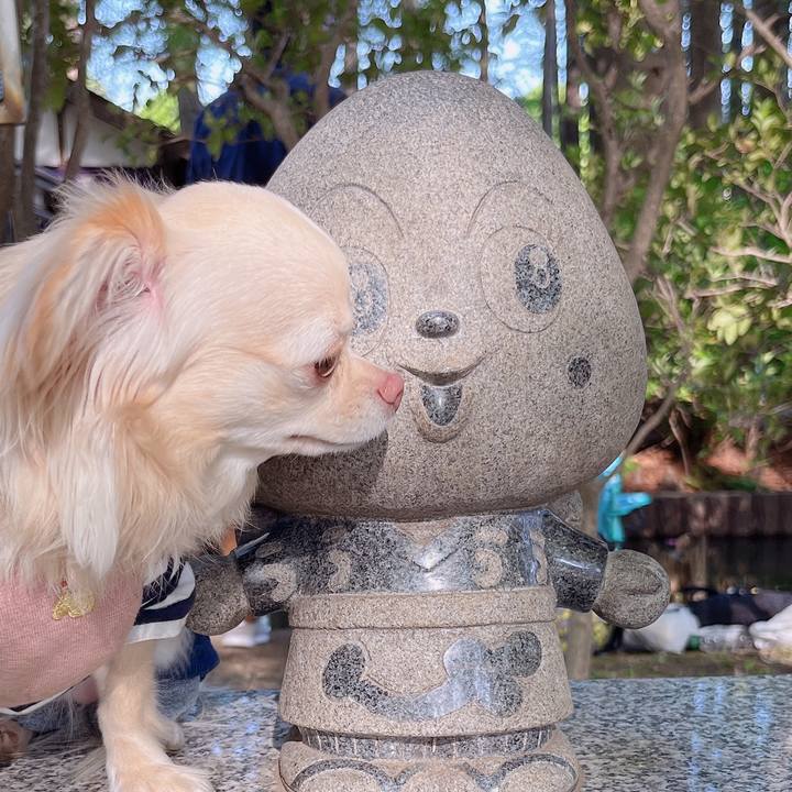 8614716e 4f92 4304 9f0f 466cd642958c 1651665866989