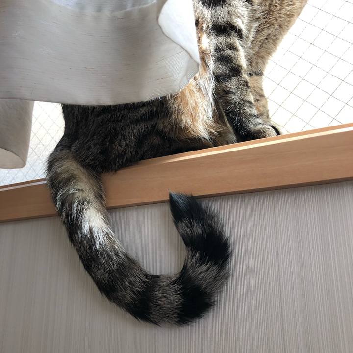 86148211 fe26 40ab bfff c4ef3ee7a0db 1518955503376