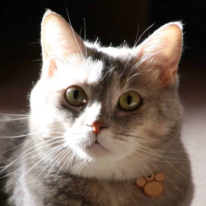 8614c1c0 5de2 432f aa91 00f68c7b616b 1568948065407