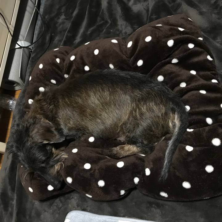 8614da99 df7f 4a66 85c8 3f224531f019 1552922106507