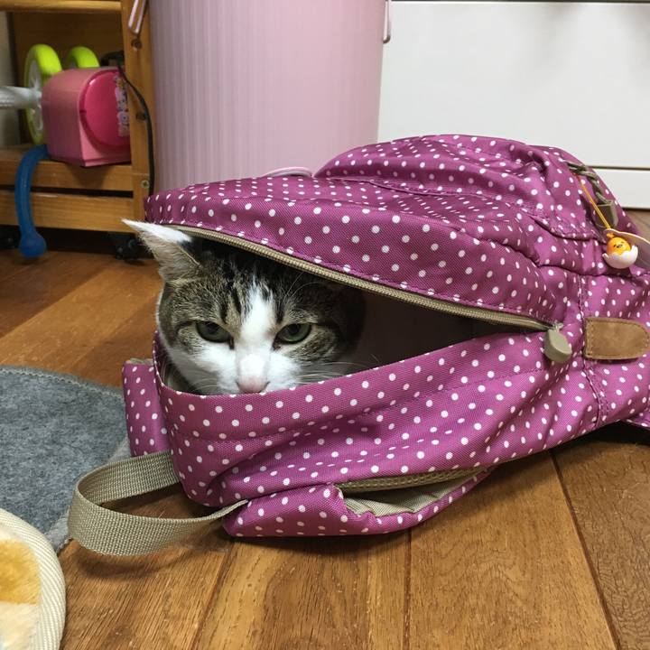 8614dab8 7ef4 457f b80d 0758c6b82368 1508312996705