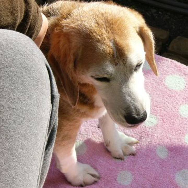 8614dd6f 3a76 464a b6b5 8ac0fea5e44f 1673656878161