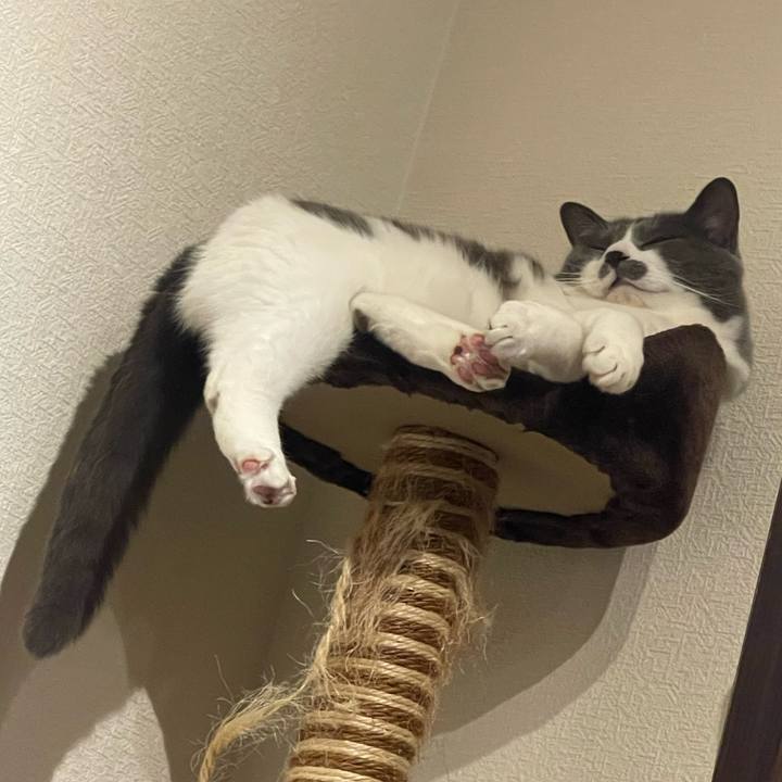 86153fd7 7ae9 4742 a7ab 011cae9e993b 1750168619305